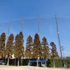 防球